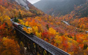 Autumn Train